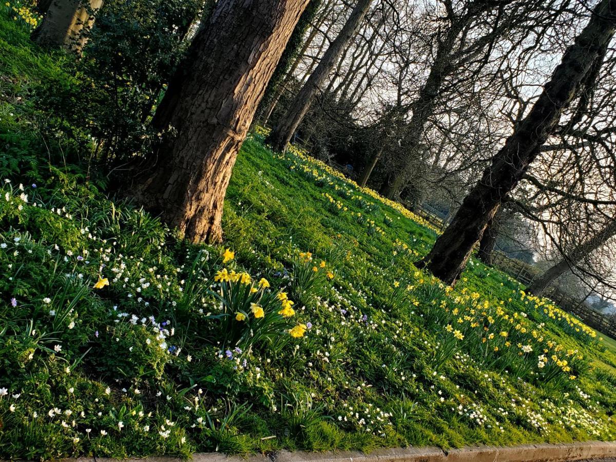 Coundon Lodge Coventry Luaran gambar
